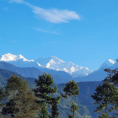 Red Panda Jungle Camp - A Unit Of Davinchi Homes Pvt Ltd Gyalshing Exterior photo